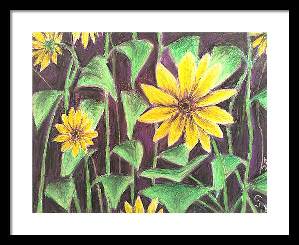 Nights of Sunflowers - Framed Print