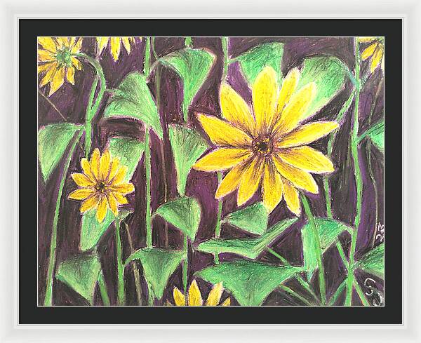 Nights of Sunflowers - Framed Print