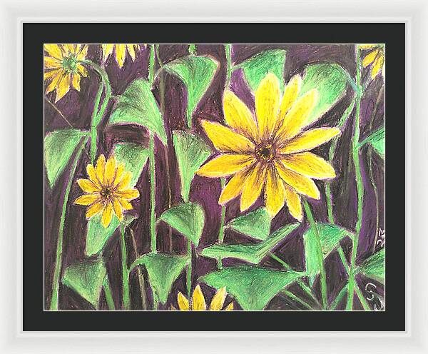 Nights of Sunflowers - Framed Print