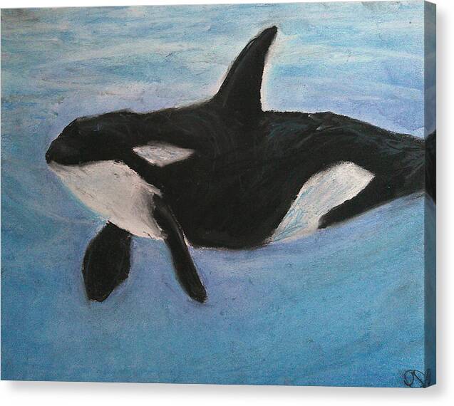 Orca Calls  - Canvas Print