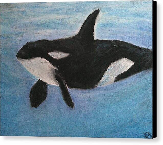 Orca Calls  - Canvas Print