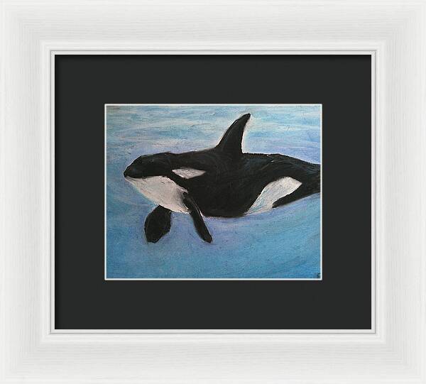 Orca Calls  - Framed Print