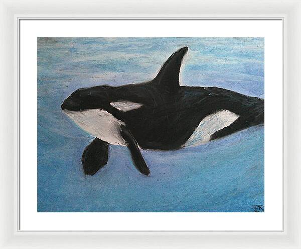 Orca Calls  - Framed Print