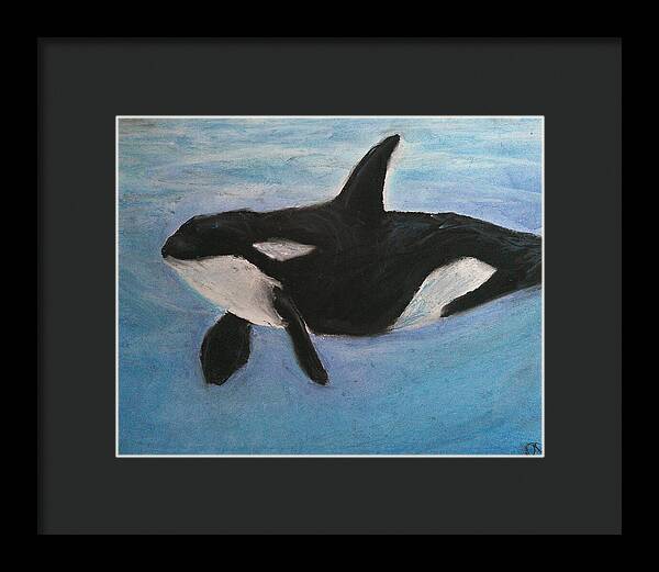 Orca Calls  - Framed Print