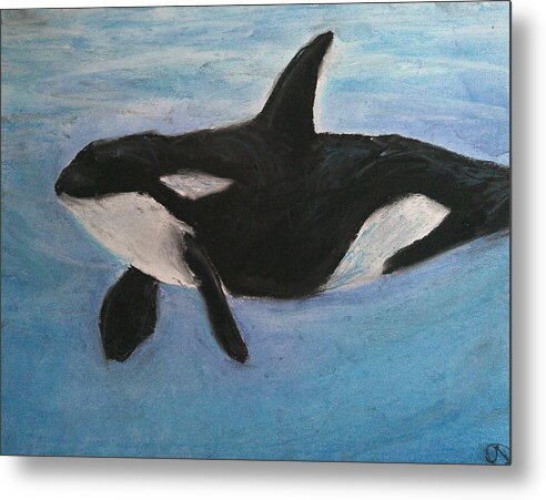 Orca Calls  - Metal Print