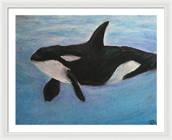 Orca Calls  - Framed Print