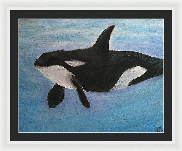 Orca Calls  - Framed Print