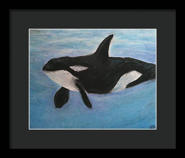 Orca Calls  - Framed Print