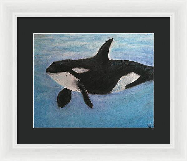 Orca Calls  - Framed Print