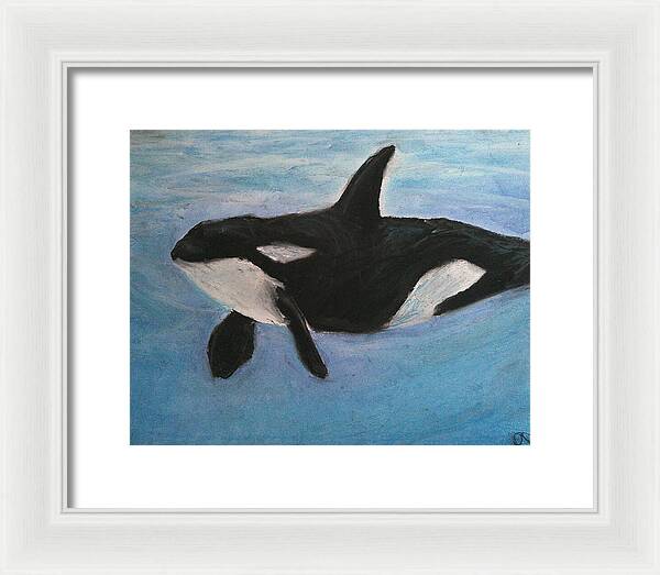 Orca Calls  - Framed Print