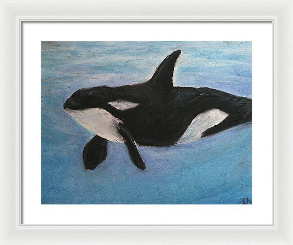 Orca Calls  - Framed Print