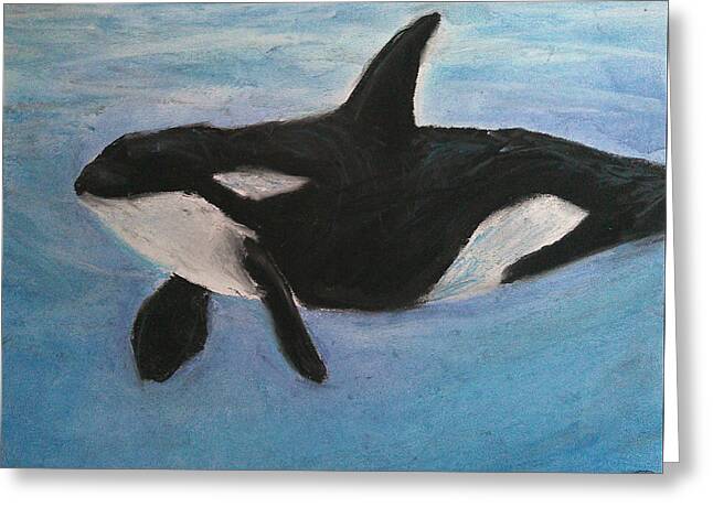 Orca Calls  - Greeting Card