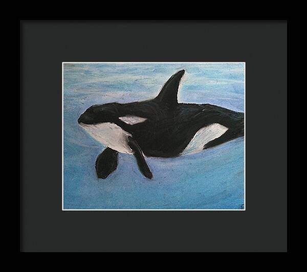 Orca Calls  - Framed Print