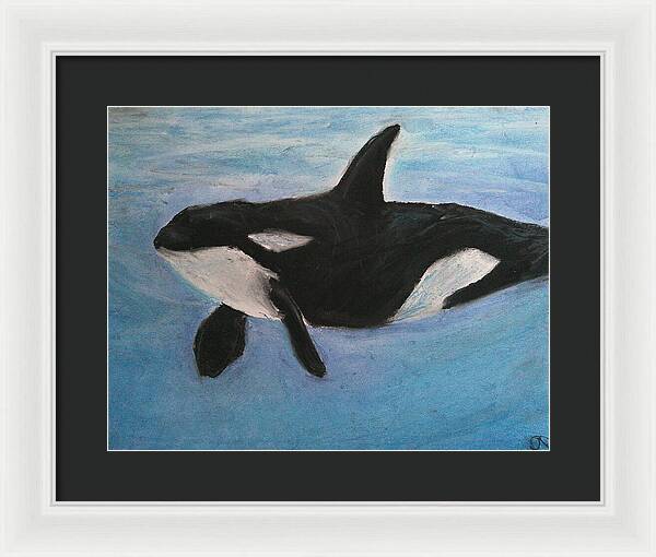 Orca Calls  - Framed Print