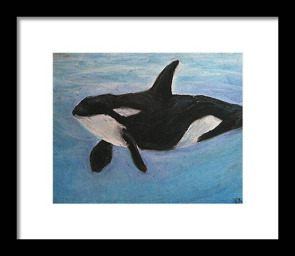 Orca Calls  - Framed Print