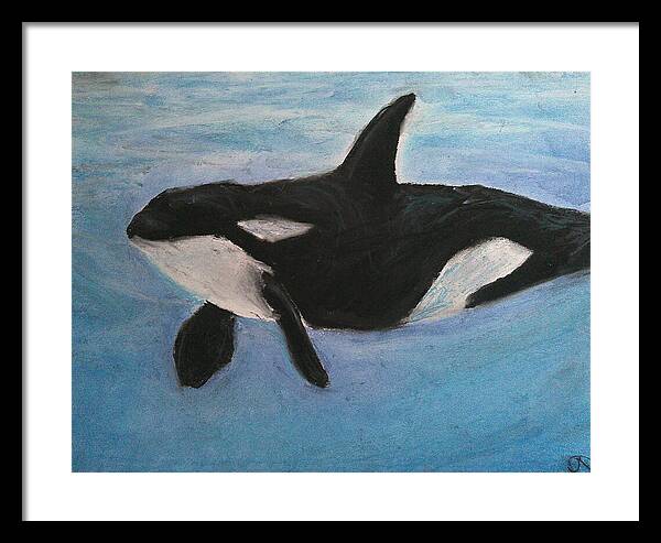 Orca Calls  - Framed Print