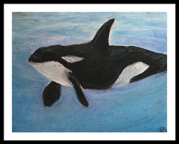 Orca Calls  - Framed Print