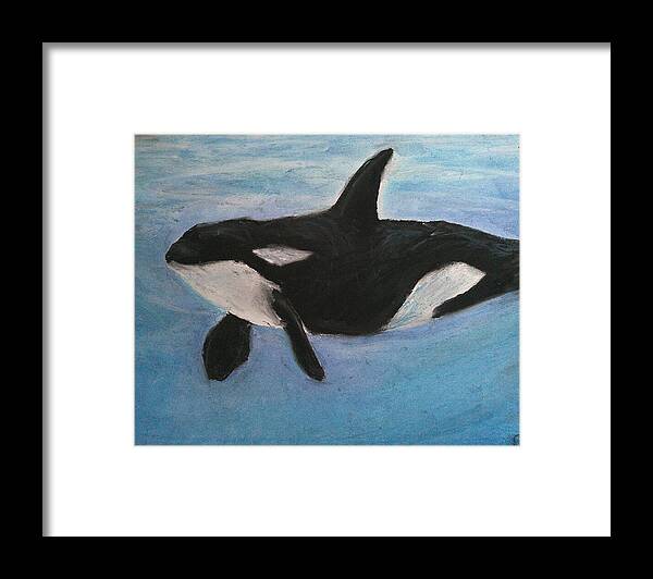 Orca Calls  - Framed Print