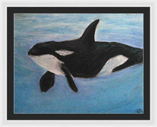 Orca Calls  - Framed Print