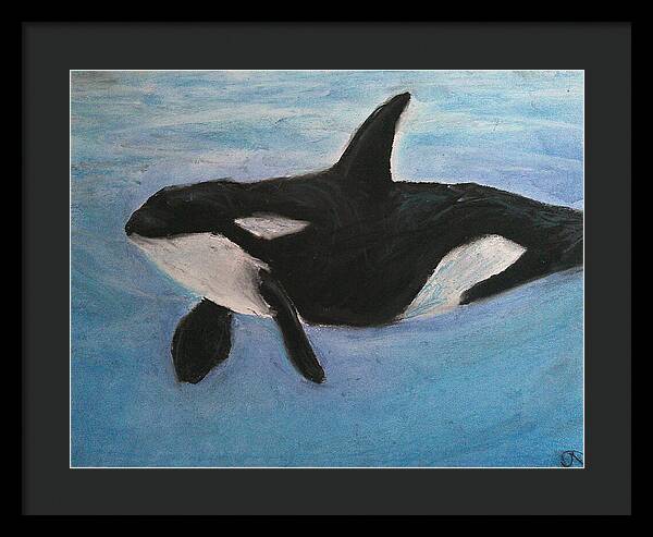 Orca Calls  - Framed Print