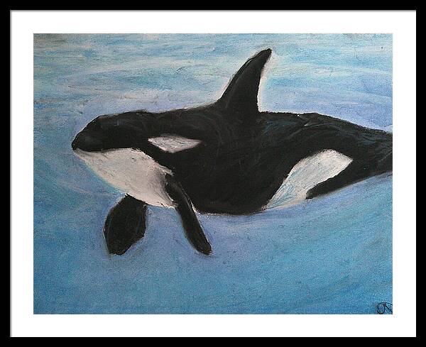 Orca Calls  - Framed Print