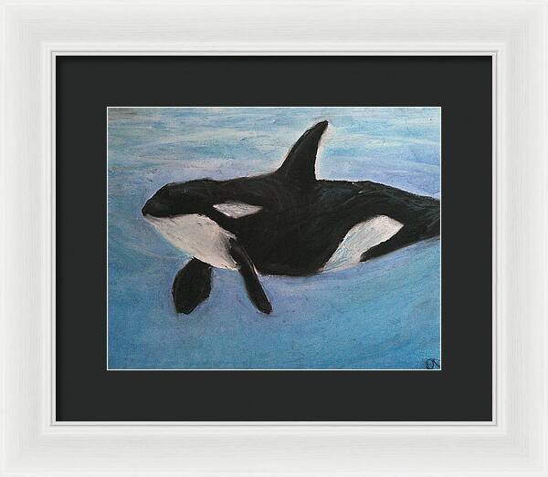 Orca Calls  - Framed Print