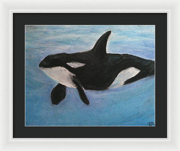 Orca Calls  - Framed Print