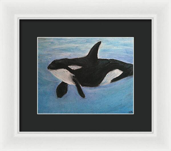 Orca Calls  - Framed Print