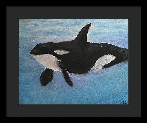 Orca Calls  - Framed Print