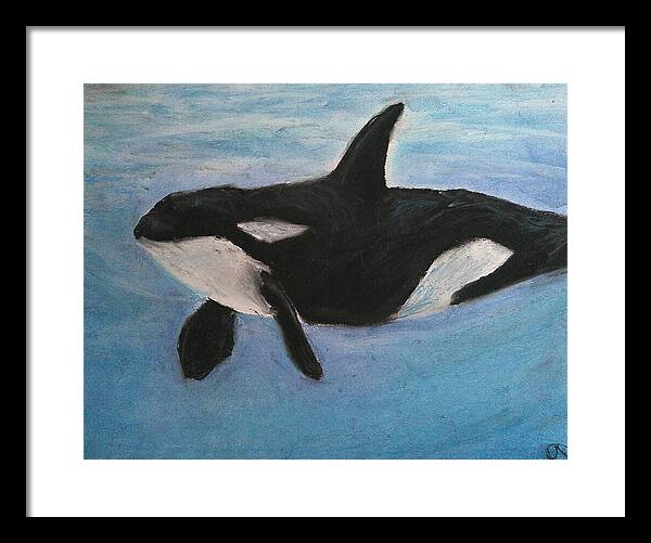 Orca Calls  - Framed Print