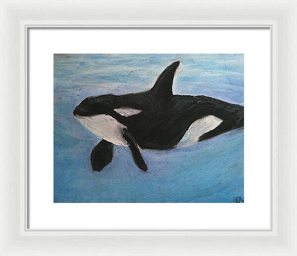 Orca Calls  - Framed Print