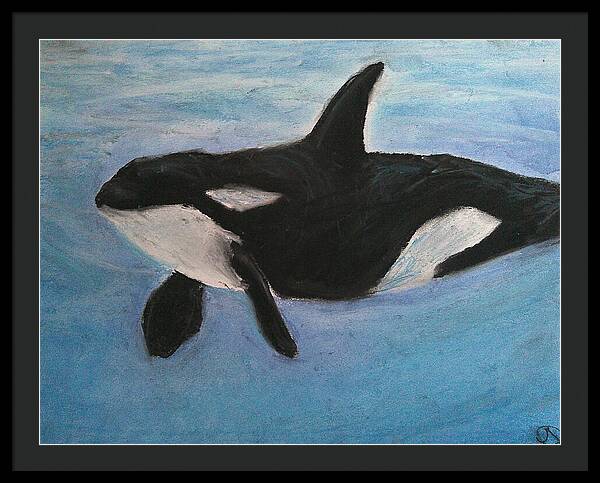 Orca Calls  - Framed Print