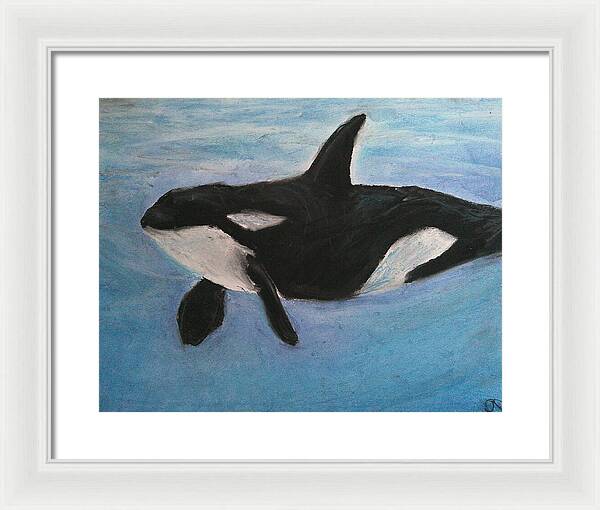 Orca Calls  - Framed Print