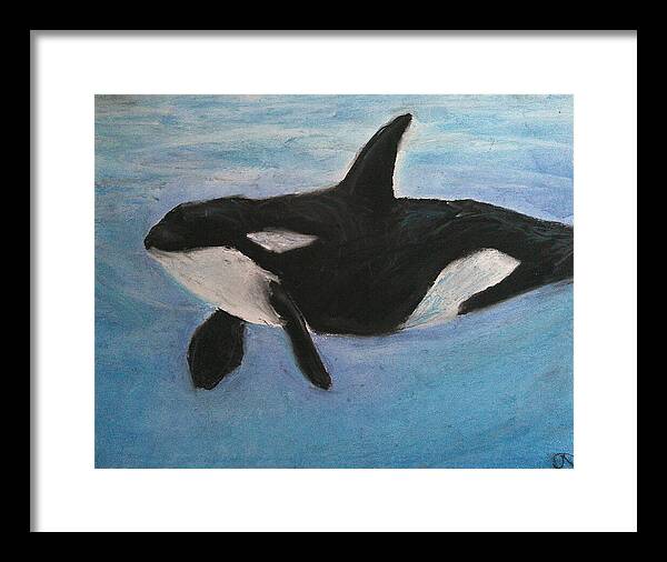 Orca Calls  - Framed Print