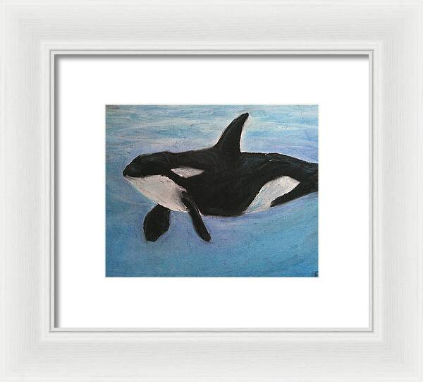 Orca Calls  - Framed Print