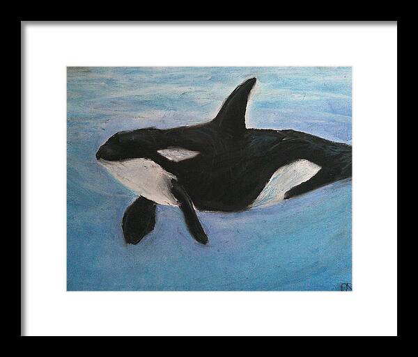 Orca Calls  - Framed Print