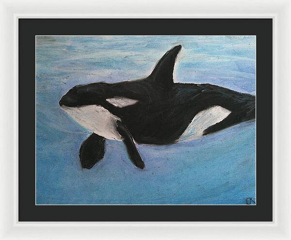 Orca Calls  - Framed Print