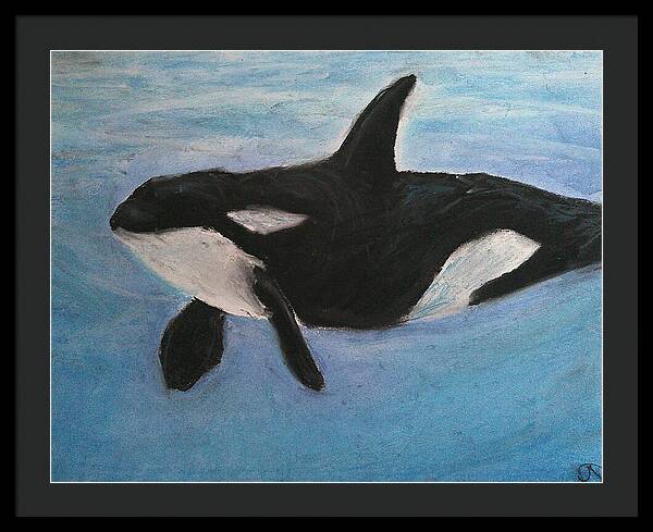 Orca Calls  - Framed Print