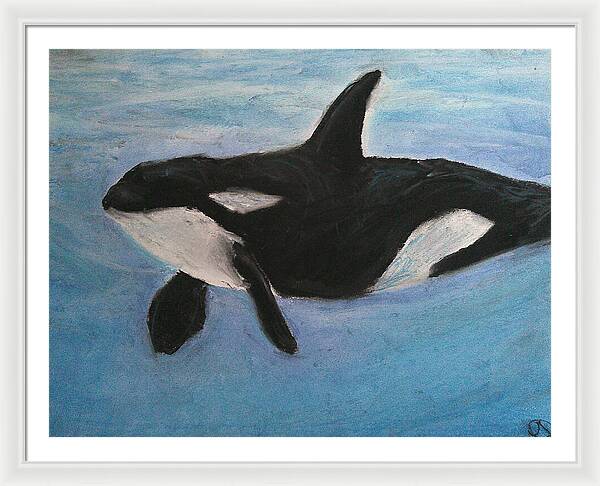 Orca Calls  - Framed Print