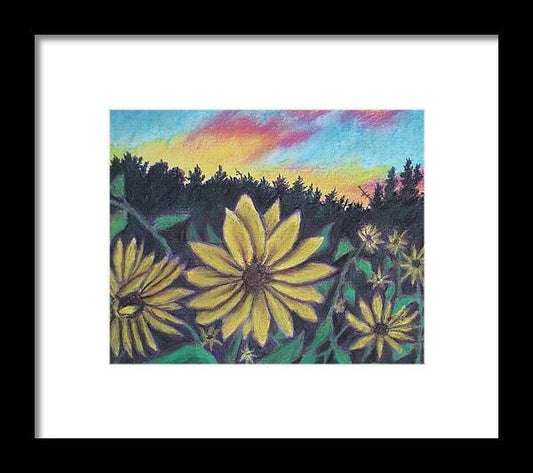 Sunflower Sunset - Framed Print