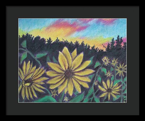 Sunflower Sunset - Framed Print