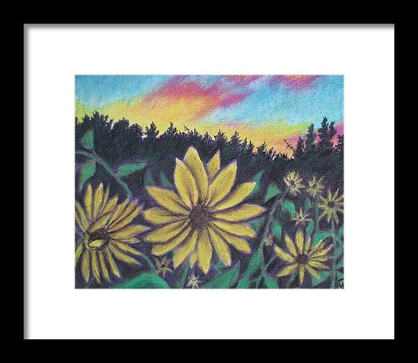 Sunflower Sunset - Framed Print