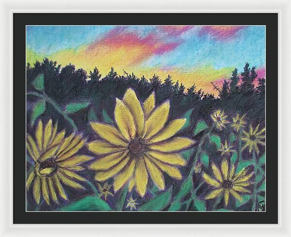 Sunflower Sunset - Framed Print