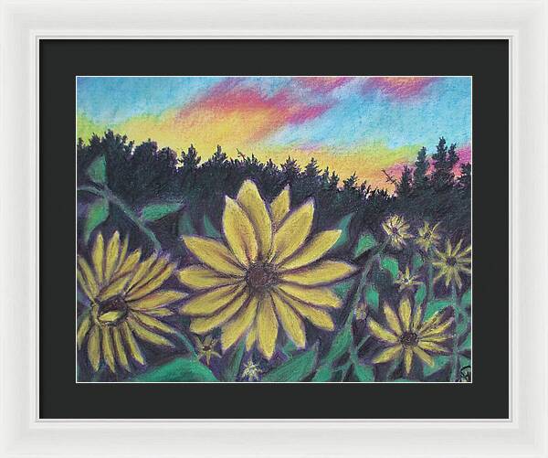 Sunflower Sunset - Framed Print