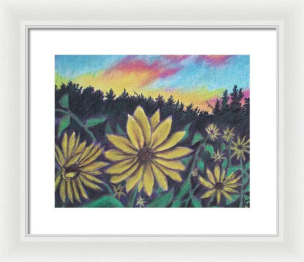 Sunflower Sunset - Framed Print