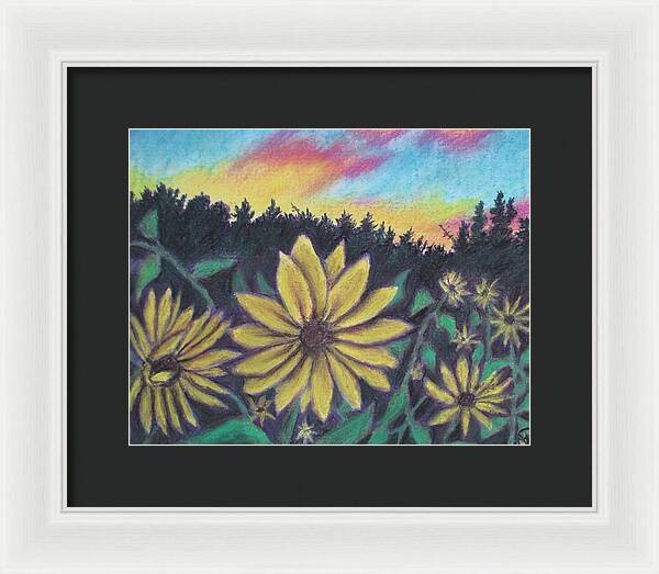 Sunflower Sunset - Framed Print