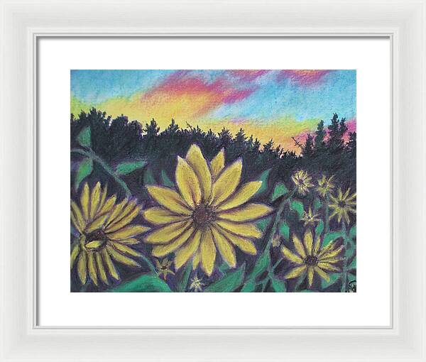 Sunflower Sunset - Framed Print