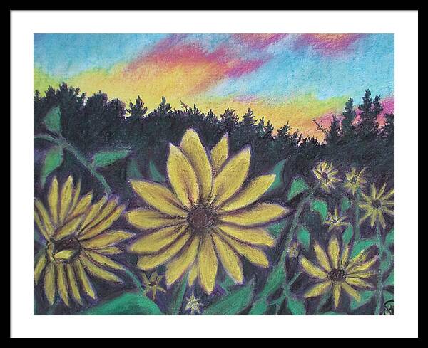 Sunflower Sunset - Framed Print