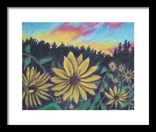 Sunflower Sunset - Framed Print