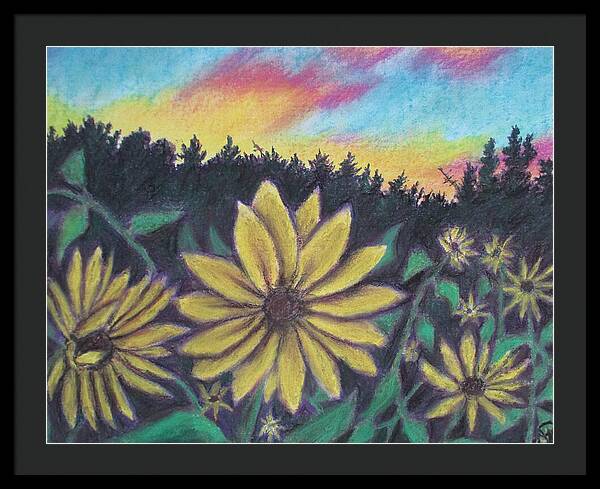 Sunflower Sunset - Framed Print